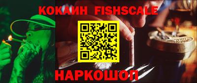 твердый Кингисепп