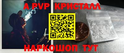 твердый Кингисепп