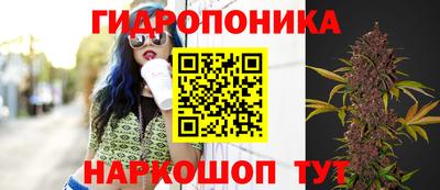 метадон Кимры