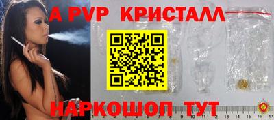 твердый Кингисепп