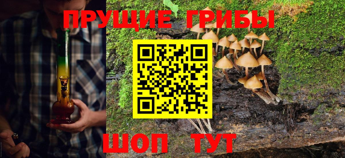 Галлюциногенные грибы Magic Shrooms  Вход с VPN  Коркино  Псилоцибиновые грибы Psilocybe 